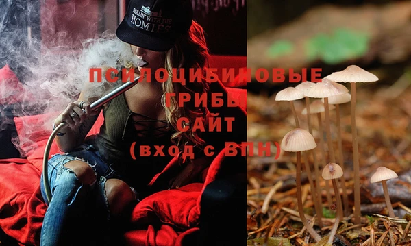 MDMA Premium VHQ Медвежьегорск