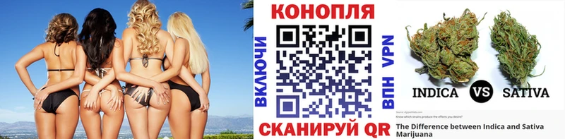 закладки  Артём  Марихуана план 